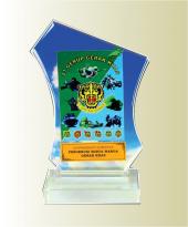 Colour Crystal Plaque