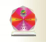 Colour Crystal Plaque